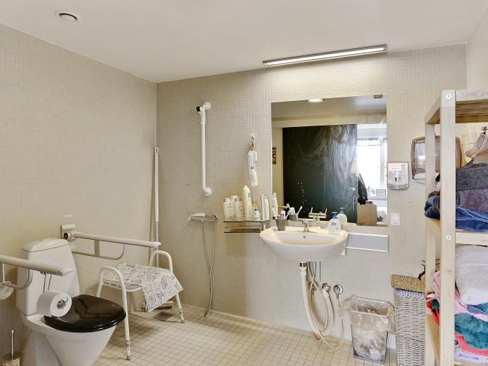 Badeværelse med toilet, brusekabine, badebænk, handicapfaciliteter, vask, et stort spejl og en reol med håndklæder.