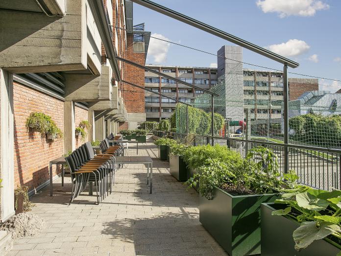 Stor terrasse med borde og stole langs bygning. Der er grønne højbede, planter i væghængte krukker og udkig til legeplads og boldbane. 