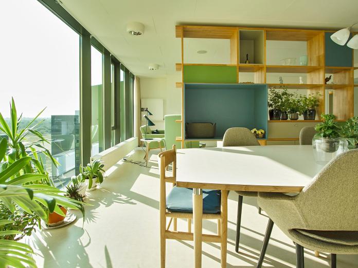 Fælles stue med gulv til loft-vinduer og rumdelende reol. Stuen er indrettet med spisebord med stole omkring, lænestole og sideborde samt mange grønne planter i potter og krukker.