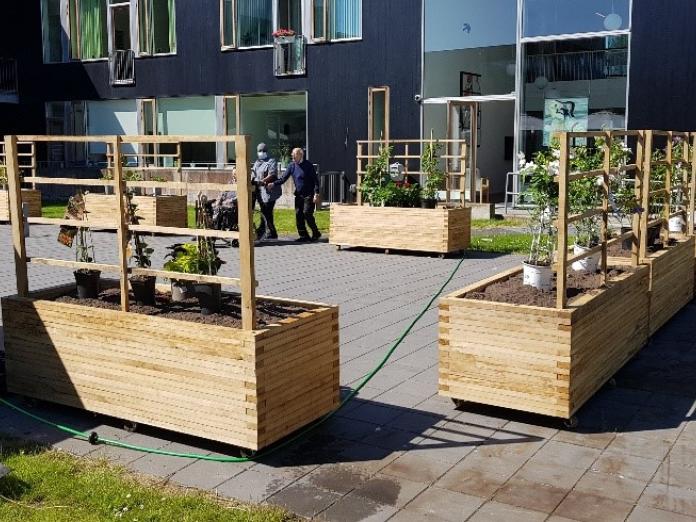 Mange forskellige højbede med planter og krydderurter i blomsterhaven.