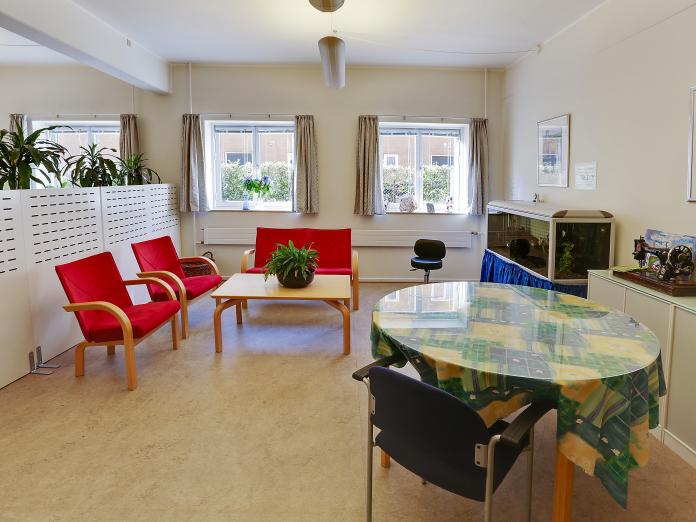 Fælles stue med sofa, lænestole og sofabord samt akvarium, et rundt bord med stol og store, grønne stueplanter.