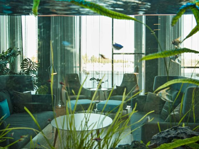Billede taget gennem akvarium af hyggehjørne med sofaer, lænestole og sofabord samt store, grønne planter.