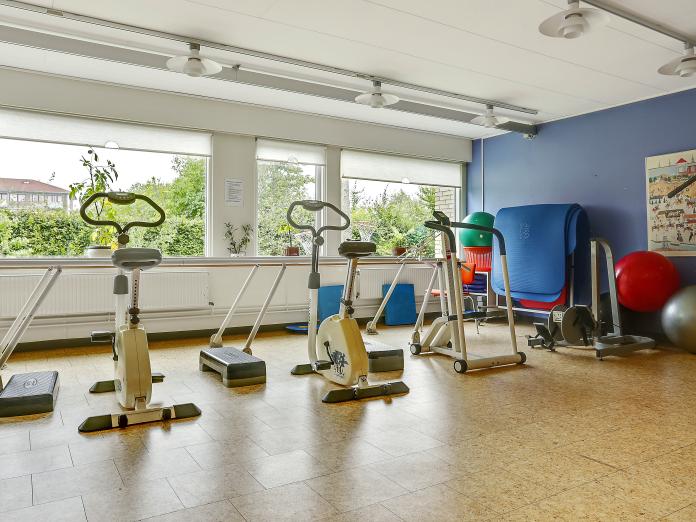 Motionsrum med forskellige træningsmaskiner som kondicykler samt en gangbarre, pilatesbolde og måtter.